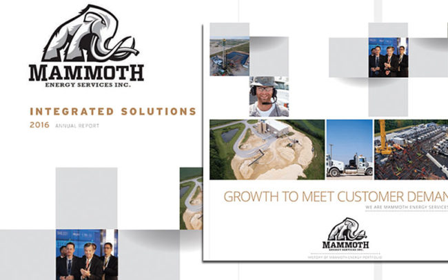 Mammoth Integrated Solutions