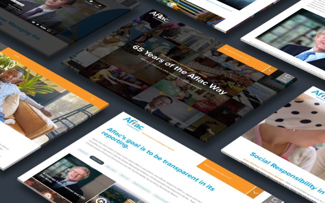 Aflac 2020 Business & Sustainability Report